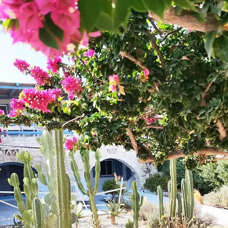 Island Magic - Seaview With Jacuzzi Pool Ambelász