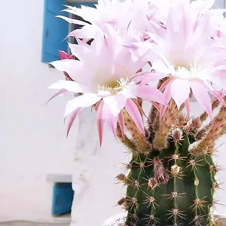 Island Magic - Seaview With Jacuzzi Pool Ambelász