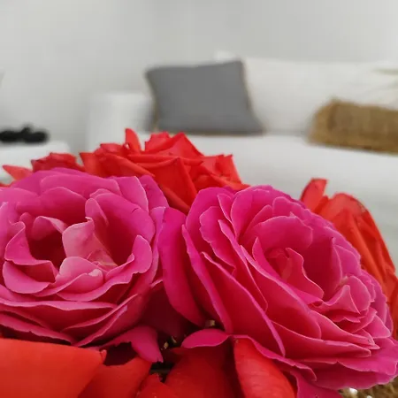 Island Magic - Seaview With Jacuzzi Pool * Ambelas