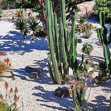 Willa Island Magic - Seaview With Jacuzzi Pool *