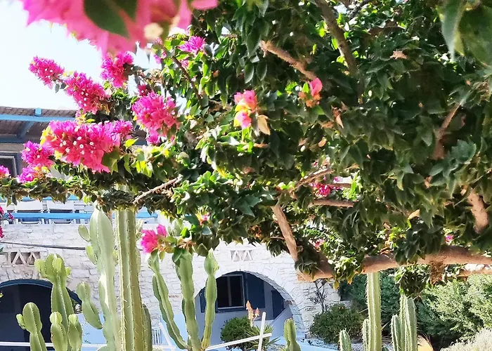 Island Magic - Seaview With Jacuzzi Pool أمبيلاس